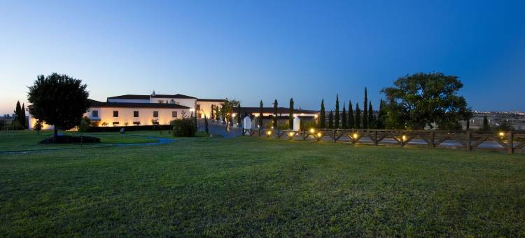 阿雷纳莱斯宫殿霍斯皮斯水疗旅馆(Hospes Palacio de Arenales & Spa)图片