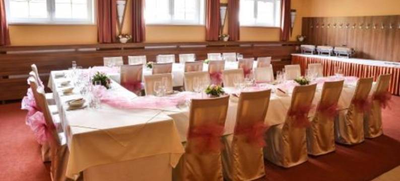 瑞萨维酒店(Hotel Rysavy)图片