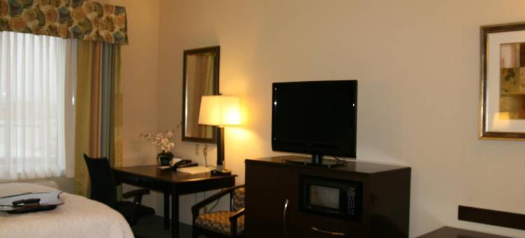 希尔顿欢朋酒店-阿尔派恩(Hampton Inn Alpine)图片