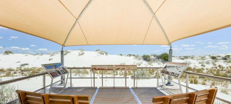 阿拉莫戈多/白沙温德姆戴斯酒店(Days Inn by Wyndham Alamogordo/White Sands)图片