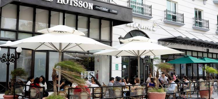 HS HOTSSON 坦皮科智选酒店(HS HOTSSON Smart Value Tampico)图片