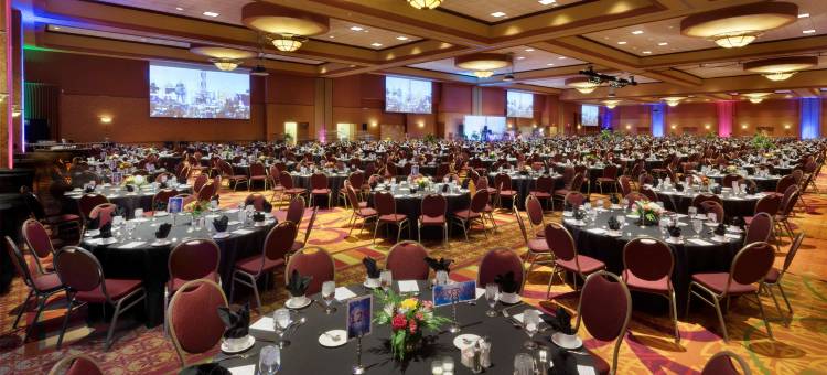 奥马哈拉维斯塔安泊套房酒店及会议中心(Embassy Suites by Hilton Omaha la Vista Hotel & Conference Center)图片
