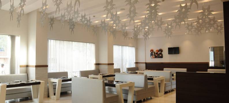 钱德拉帝国酒店(Chandra Imperial)图片