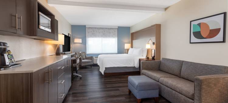 坦帕北部假日酒店(Holiday Inn Tampa North)图片