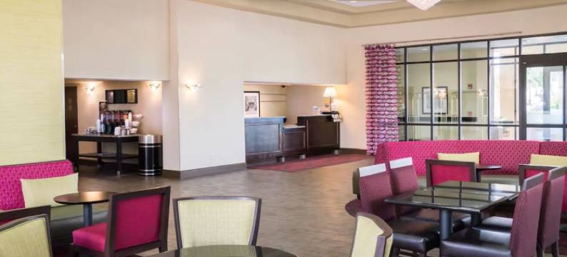 奥兰多棕榈树酒店(Orlando Palms)图片
