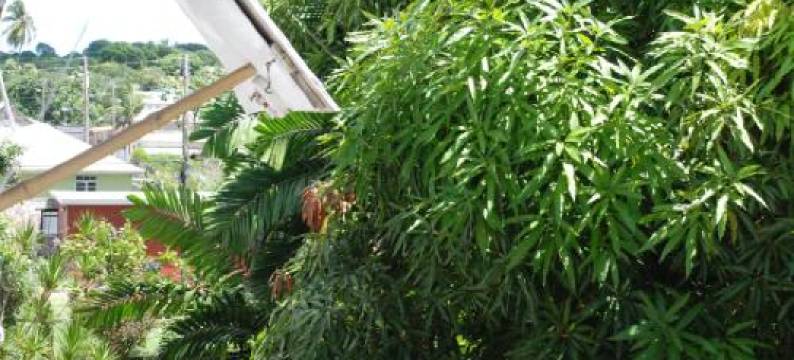 迷人老世界公寓(Charming Old World Apartment)图片