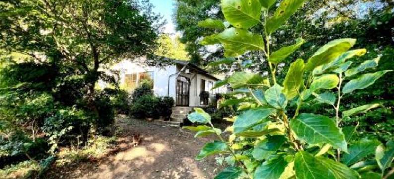 Kiyo's Gokokuen "Tatsumado" - Vacation Stay 26825V图片