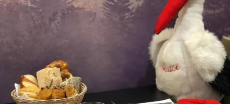 斯特拉斯堡中心小法兰西美居酒店(Hôtel Mercure Strasbourg Centre Petite France)图片