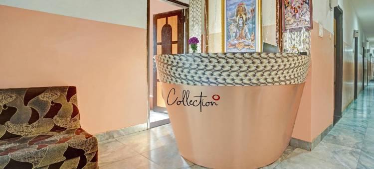 Collection O Ns Sheetal图片