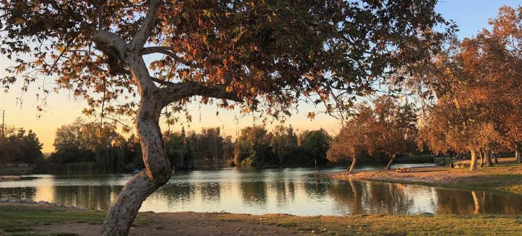 洛杉矶6号汽车旅馆 - 艾尔蒙特(Motel 6 El Monte, CA - Los Angeles)图片