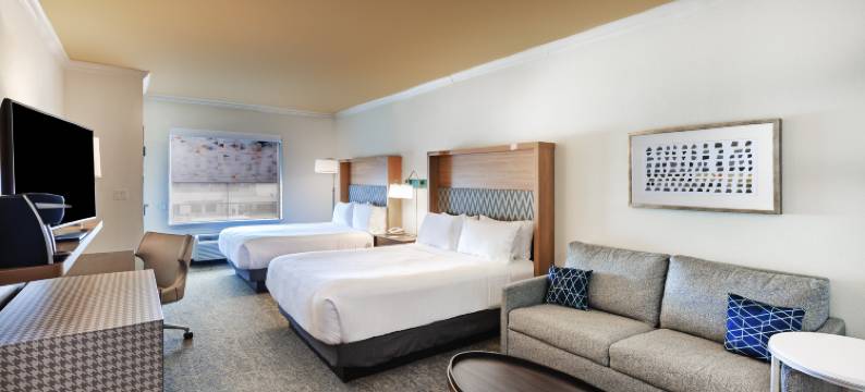 Holiday Inn & Suites 麦金尼的黄金国(Holiday Inn & Suites MCKINNEY - N ALLEN by IHG)图片