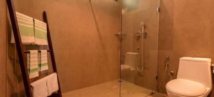 Wayanad Wild- CGH Earth图片