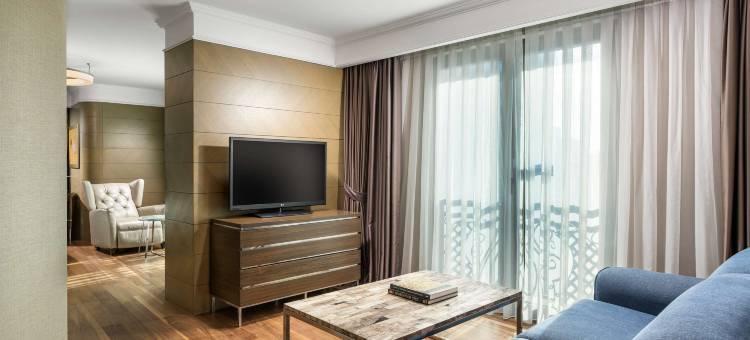 伊斯坦布尔希什利丽笙酒店(Radisson Blu Hotel, Istanbul Sisli)图片