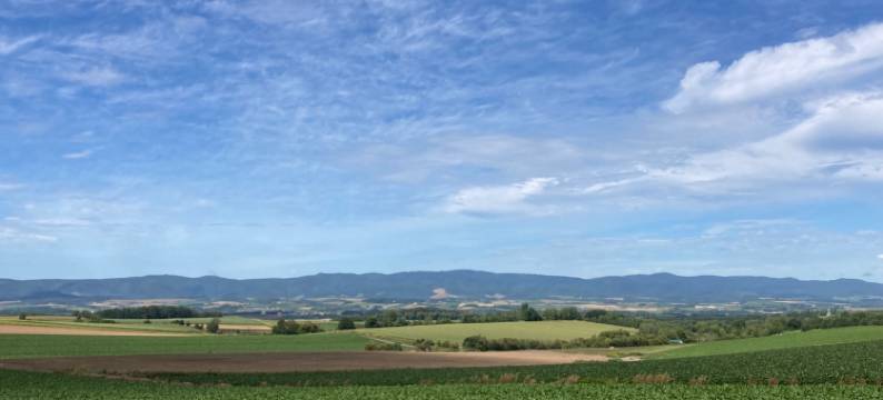 Accommodation limited to one group图片