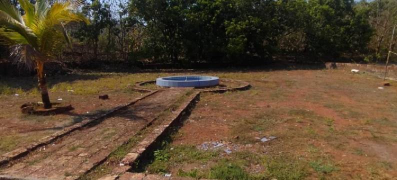 Chandra Villas Resort图片