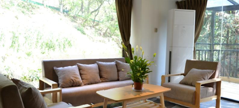 东方山桔子民宿图片