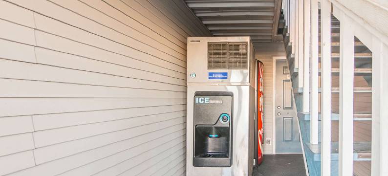 德克萨斯帕里斯6号汽车旅馆(Motel 6 Paris, TX)图片