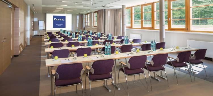 佛莱堡多林特温泉酒店(Dorint Thermenhotel Freiburg)图片