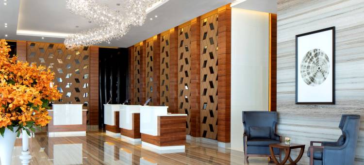 丽笙蓝标酒店-迪拜河滨(Radisson Blu Hotel, Dubai Waterfront)图片