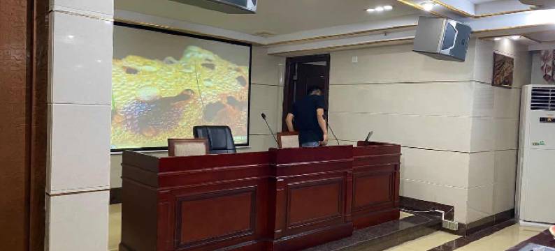 英德皇朝国际酒店图片