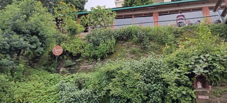 阿尔希托咖啡厅及度假村(ALhito Cafe & Resort)图片