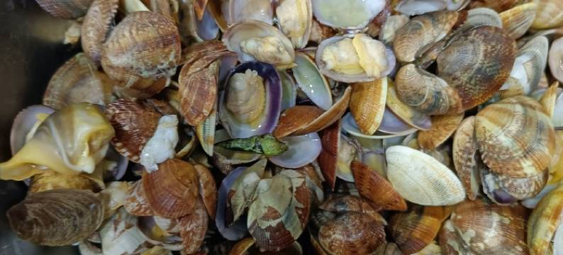 荣成秦云雅舍民宿(马成街分店)图片