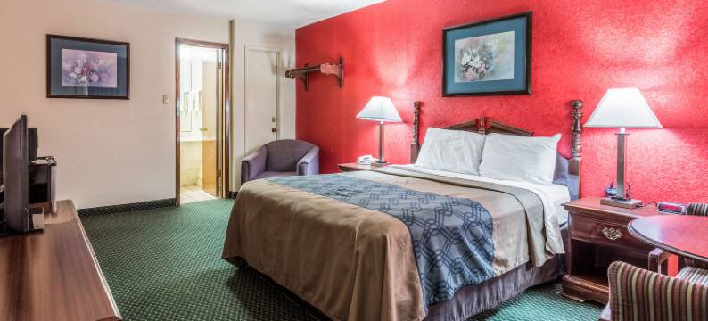 布林克利伊克诺旅馆(Econo Lodge & Suites Brinkley)图片