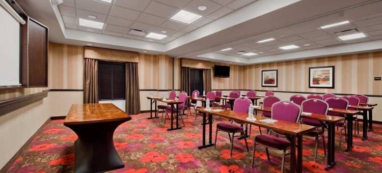 希尔顿欢朋套房酒店-底特律机场罗穆勒斯(Hampton Inn & Suites Detroit/Airport-Romulus)图片