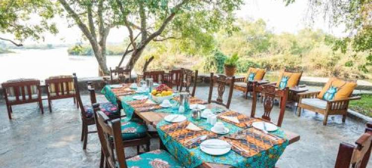 Tintswalo Siankaba图片