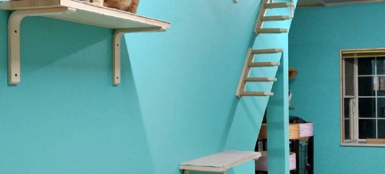 多摩酒店(Tama Hotel)图片