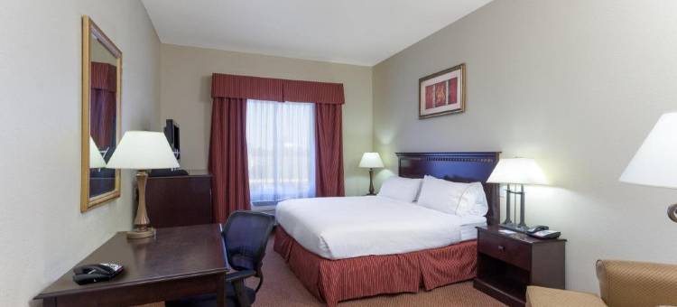 智选假日套房酒店克拉克斯(Holiday Inn Express & Suites Clarksville)图片