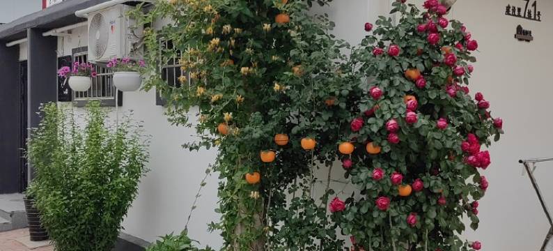 南戴河慢时光连栋别墅距海近民宿(金海道分店)图片