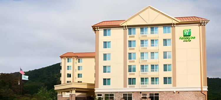 智选假日套房酒店阿什维尔闹市(Holiday Inn Express & Suites Asheville Downtown)图片