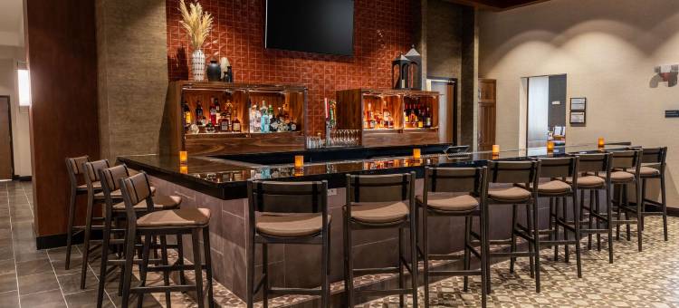 德鲁里广场酒店达拉斯阿林顿(Drury Plaza Hotel Dallas Arlington)图片