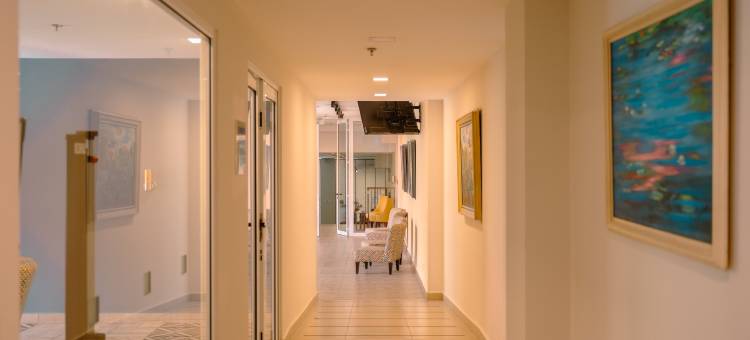 梅尼达中心智选假日酒店(Holiday Inn Express Merida Centro)图片