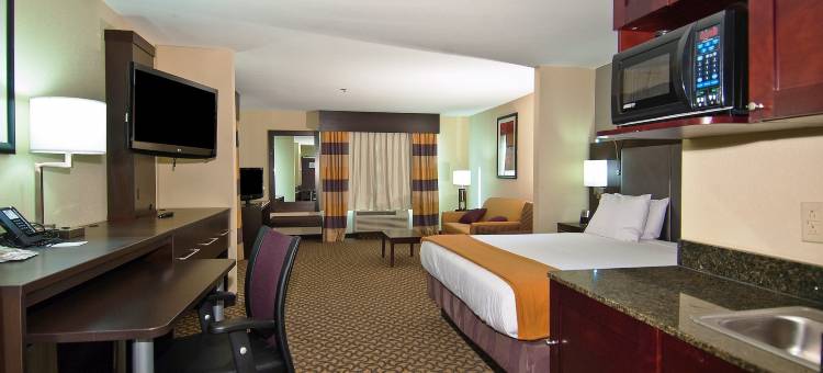 智选假日套房酒店杰克逊/珍珠国际机场(Holiday Inn Express & Suites Jackson/Pearl Intl Airport)图片