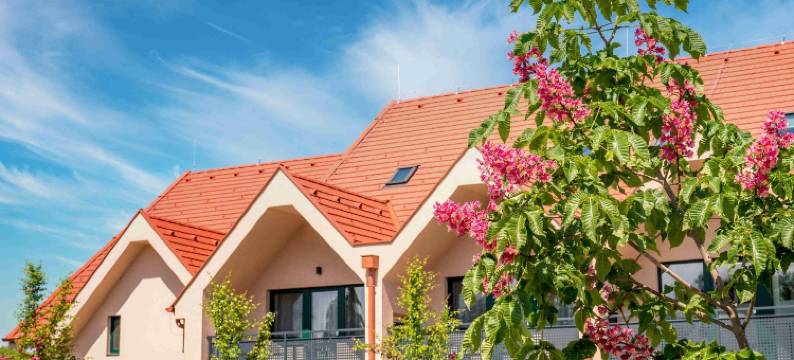 小蟋蟀美食与客房(Kistücsök Food & Room)图片