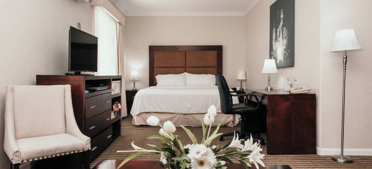 杜兰戈假日酒店(Holiday Inn DURANGO by IHG)图片