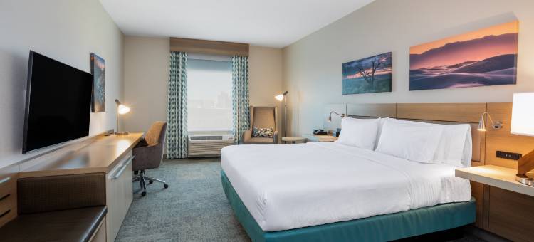 新墨西哥州阿尔伯克基市中心希尔顿花园酒店(Hilton Garden Inn Albuquerque Downtown)图片