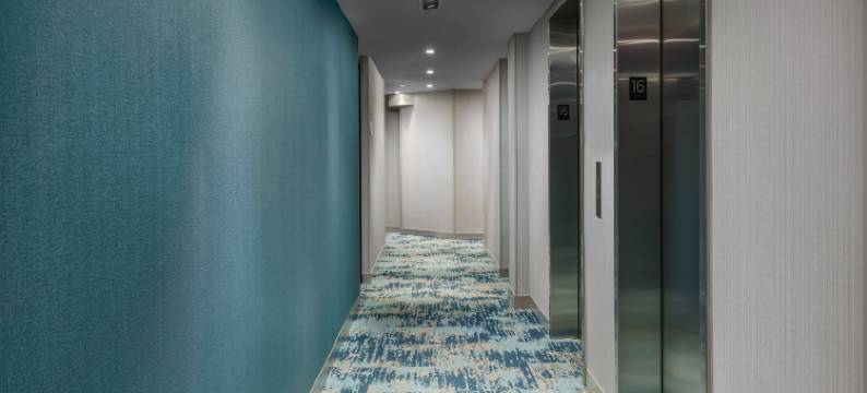 纽约时代广场北希尔顿花园酒店(Hilton Garden Inn New York Times Square North)图片