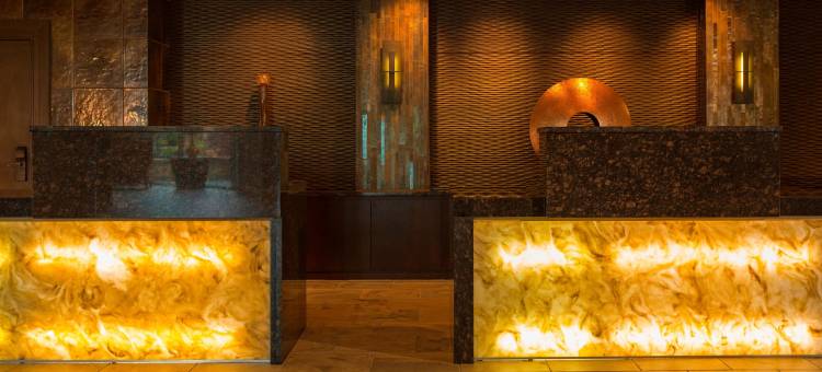 麦德威尔会议度假村及会议中心(MeadowView Conference Resort & Convention Center)图片