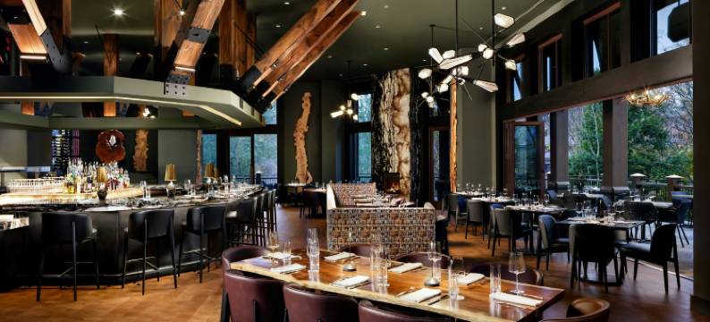 格林维尔格兰德波希米亚，傲途格精选山林小屋(Grand Bohemian Lodge Greenville, Autograph Collection)图片