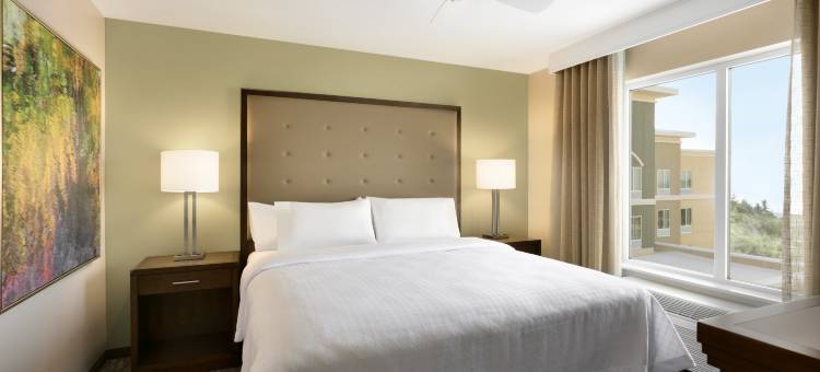 曼彻斯特哈特福德Homewood Suites by Hilton(Homewood Suites by Hilton Hartford Manchester)图片