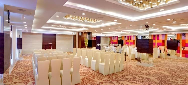 印度国际酒店(The Hotel Hindusthan International)图片