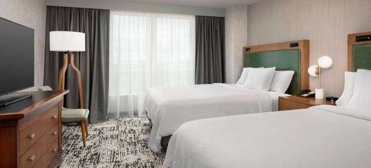 杜勒斯北劳登希尔顿安泊酒店(Embassy Suites by Hilton Dulles North Loudoun)图片