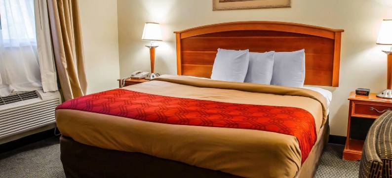 杰斐逊希尔斯公路51号伊克诺旅馆(Econo Lodge Jefferson Hills Hwy 51)图片