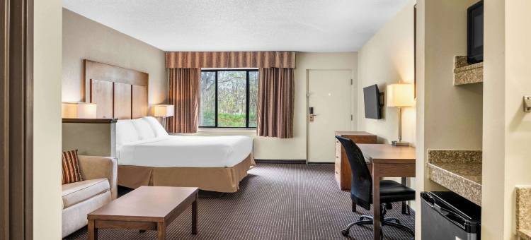 白松酒店套房(White Pines Inn & Suites)图片