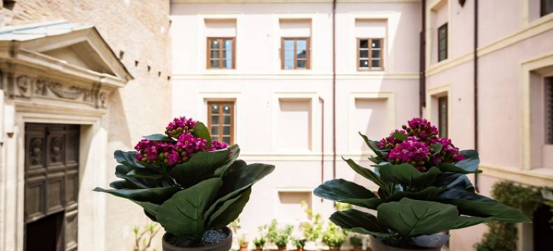 斗兽场之家酒店(Domus Colosseo)图片