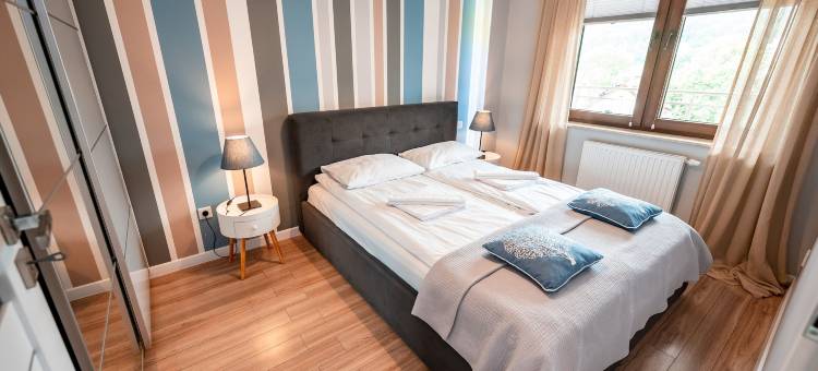 绿德鲁伊阳光和雪公寓酒店(Zielony Zdrój, Sun & Snow)图片