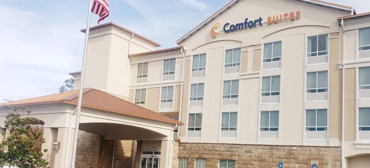 舒适套房酒店(Comfort Suites)图片